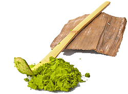 Kat_matcha