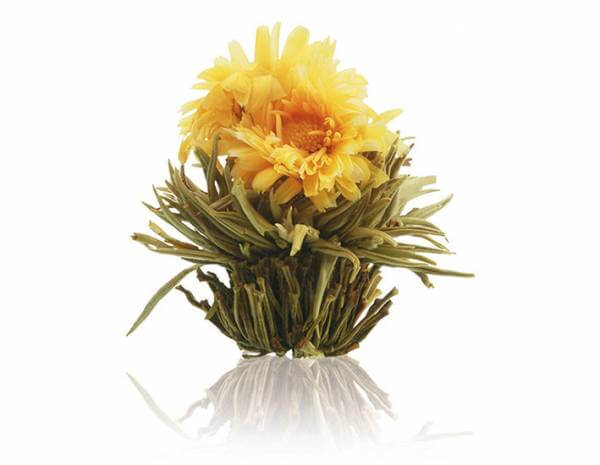 Weiße Teeblüte »Sonnenwende«