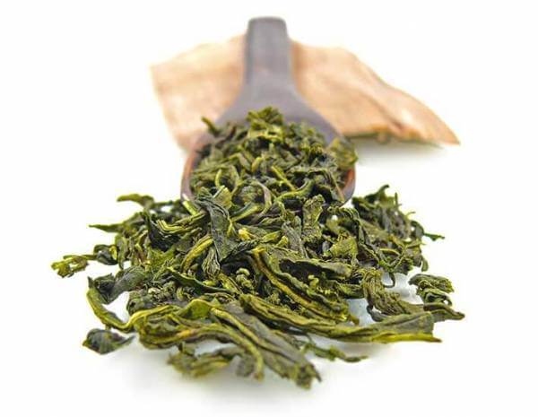 Grüner Tee »Tamaryokucha«