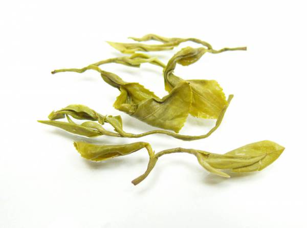 Grüne Teespezialität »Pan Long Yin Hao«