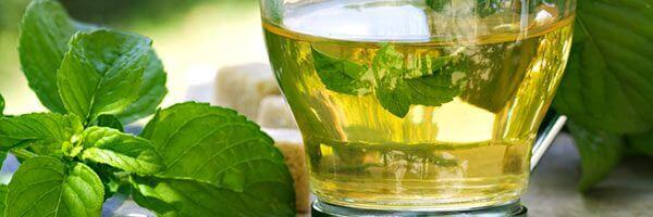 Kusmi tea anastasia - Die hochwertigsten Kusmi tea anastasia unter die Lupe genommen