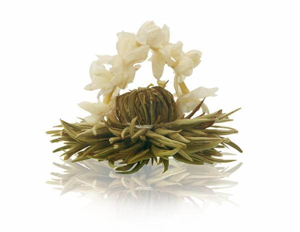 Weiße Teeblüte »Silberne Hochzeit«