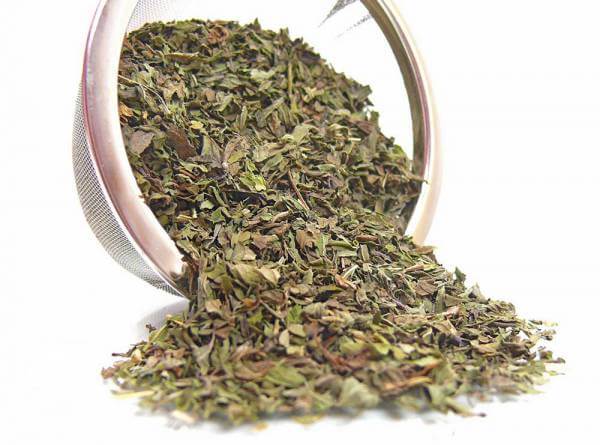 Kräutertee »Pfefferminze«