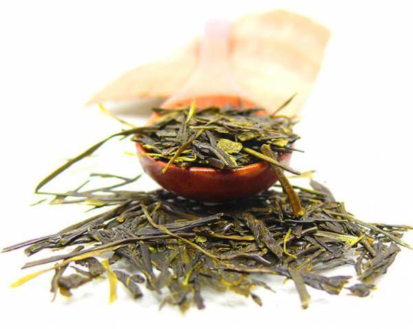 Grüntee »Sencha Machiko« 40g-Schmucktüte