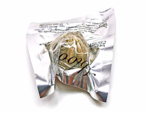 Weiße Teeblüte »Juweltröpfchen«