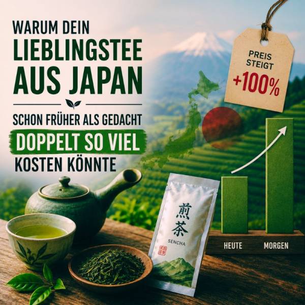 Japan-TeeGUDOm98snfQ9I