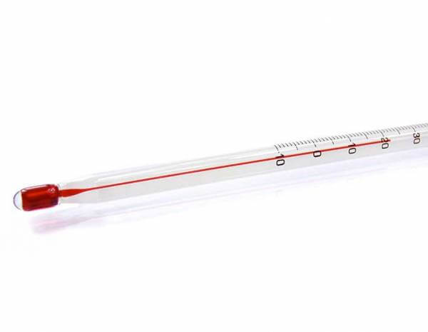 Grüntee-Thermometer in Hülle