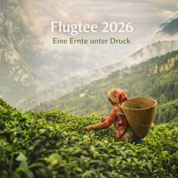 Blogbild-Flugtee-2026