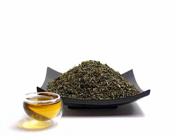 Kräutertee »Pfefferminze«