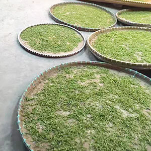 westlake-lungching-welken