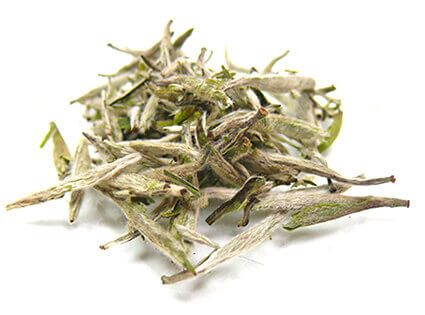 kobu-teeversand-teeblog-yinzhen-1