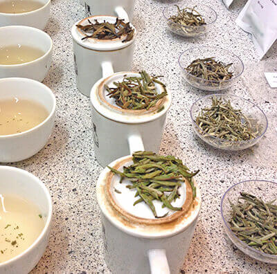 kobu-teeversand-teeblog-yinzhen-2